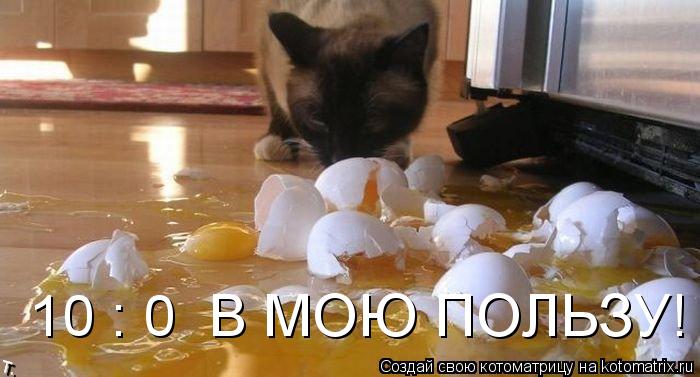 Котоматрица: 10 : 0  В МОЮ ПОЛЬЗУ!