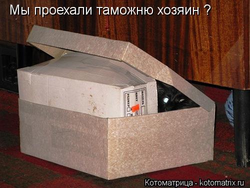 Котоматрица: Мы проехали таможню хозяин ?