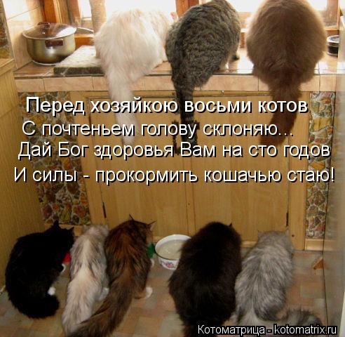 Котоматрица: Перед хозяйкою восьми котов Дай Бог здоровья Вам на сто годов С почтеньем голову склоняю... И силы - прокормить кошачью стаю!