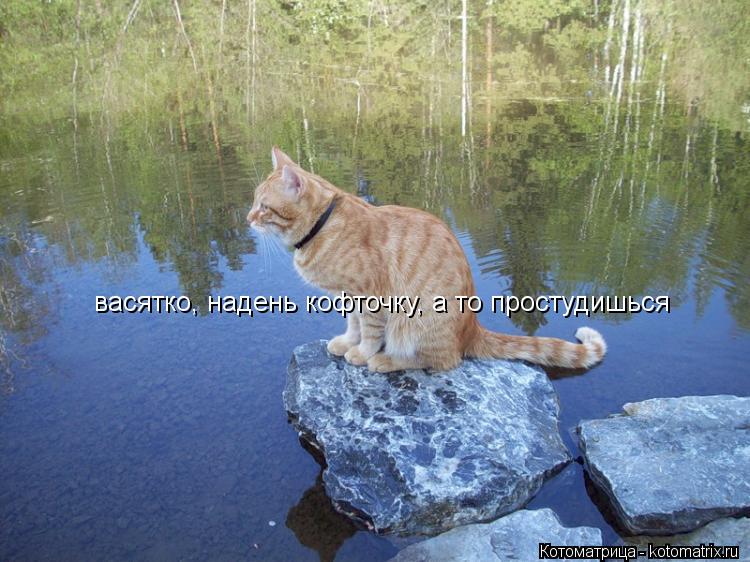 Котоматрица: васятко, надень кофточку, а то простудишься
