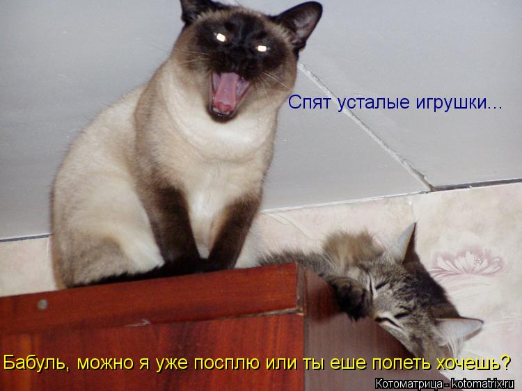 Котоматрица: Бабуль, можно я уже посплю или ты еше попеть хочешь? Спят усталые игрушки...