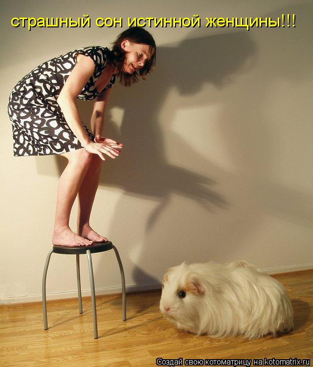 Котоматрица: страшный сон истинной женщины!!!