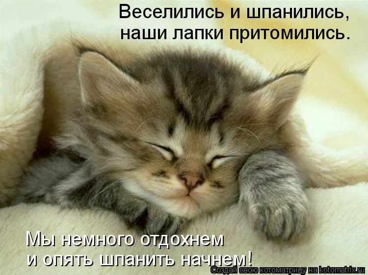 Котоматрица: Веселились и шпанились,  наши лапки притомились. Мы немного отдохнем  и опять шпанить начнем!