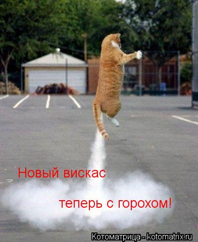 Котоматрица: Новый вискас  теперь с горохом!