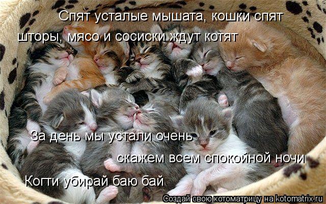 Котоматрица: Спят усталые мышата, кошки спят шторы, мясо и сосиски ждут котят За день мы устали очень скажем всем спокойной ночи Когти убирай баю бай