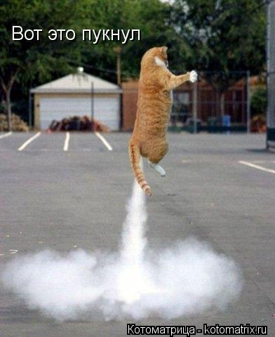 Котоматрица: Вот это пукнул