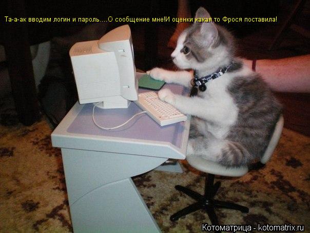 Котоматрица: Та-а-ак вводим логин и пароль....О сообщение мне!И оценки какая то Фрося поставила!