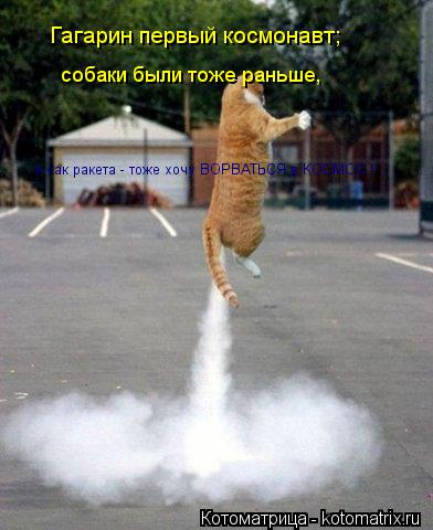 Котоматрица: Гагарин первый космонавт; собаки были тоже раньше,  я как ракета - тоже хочу ВОРВАТЬСЯ в КОСМОС !
