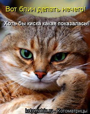 Котоматрица: Вот блин делать нечего! Хоть бы киска какая показалась!