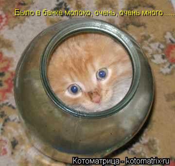 Котоматрица: Было в банке молоко, очень, очень много........