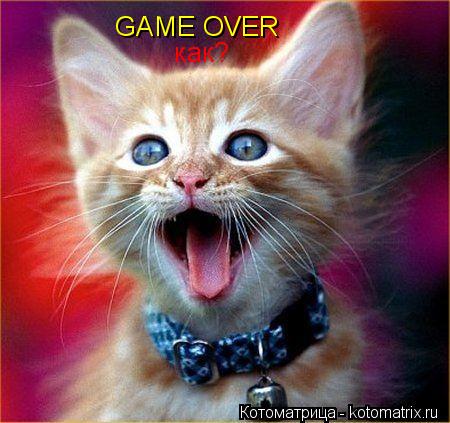 Котоматрица: GAME OVER как?