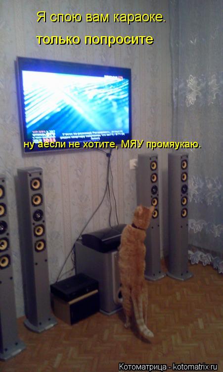 Котоматрица: Я спою вам караоке. только попросите ну аесли не хотите, МЯУ промяукаю.