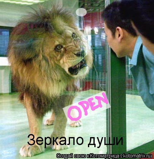 Зеркало души... Котоматрица: Зеркало души