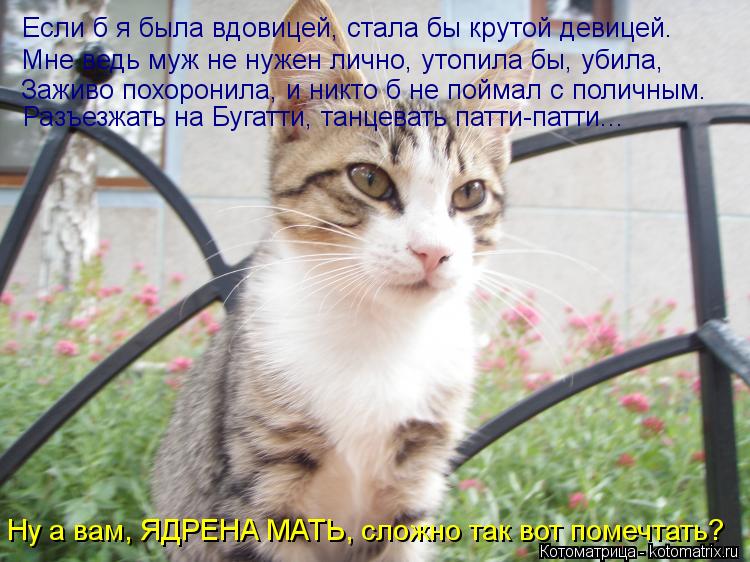 Если б я была вдовицей, стала бы крутой девицей. Мне ведь муж не нужен лично, утопила бы, убила, Заж... Котоматрица: Если б я была вдовицей, стала бы крутой девицей. Мне ведь муж не нужен лично, утопила бы, убила, Заживо похоронила, и никто б не поймал с полич