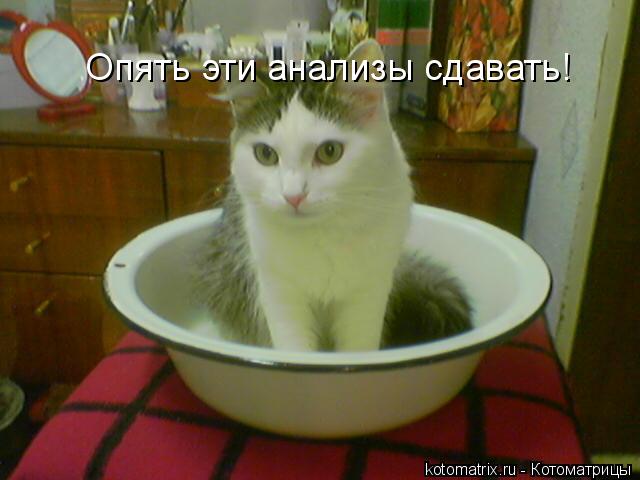 Опять эти анализы сдавать!... Котоматрица: Опять эти анализы сдавать!