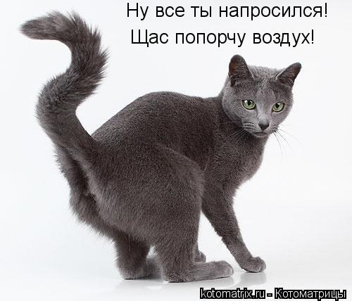 Ну все ты напросился! Щас попорчу воздух!... Котоматрица: Ну все ты напросился! Щас попорчу воздух!