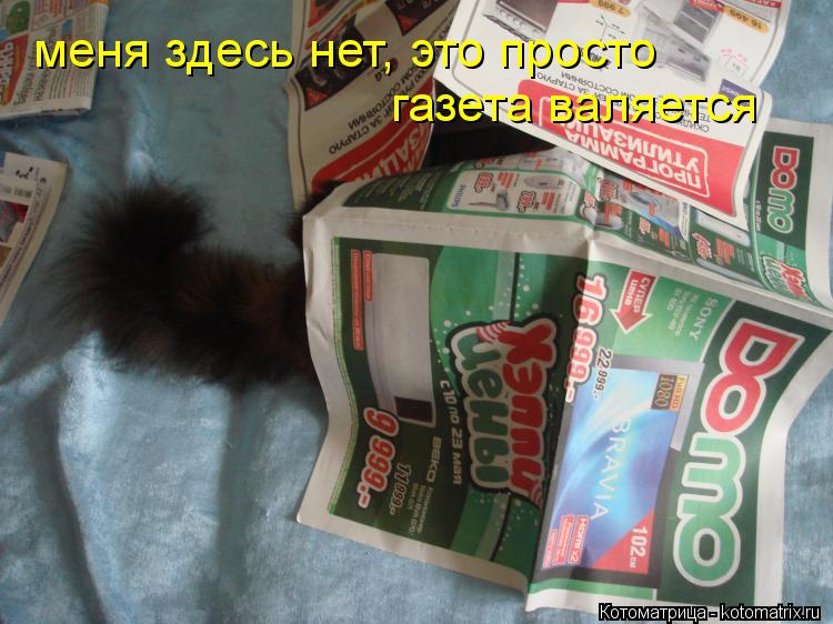 меня здесь нет, это просто газета валяется... Котоматрица: меня здесь нет, это просто газета валяется