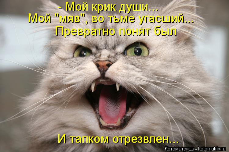 - Мой крик души... Мой "мяв", во тьме угасший... Превратно понят был И тапком отрезвлен... И тапком ... Котоматрица: - Мой крик души... Мой "мяв", во тьме угасший... Превратно понят был И тапком отрезвлен... И тапком отрезвлен...