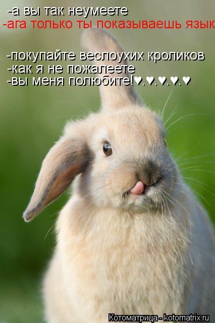 -а вы так неумеете -ага только ты показываешь язык -покупайте веслоухих кроликов -как я не пожалеет... Котоматрица: -а вы так неумеете -ага только ты показываешь язык -покупайте веслоухих кроликов -как я не пожалеете -вы меня полюбите!♥.♥.♥.♥.♥