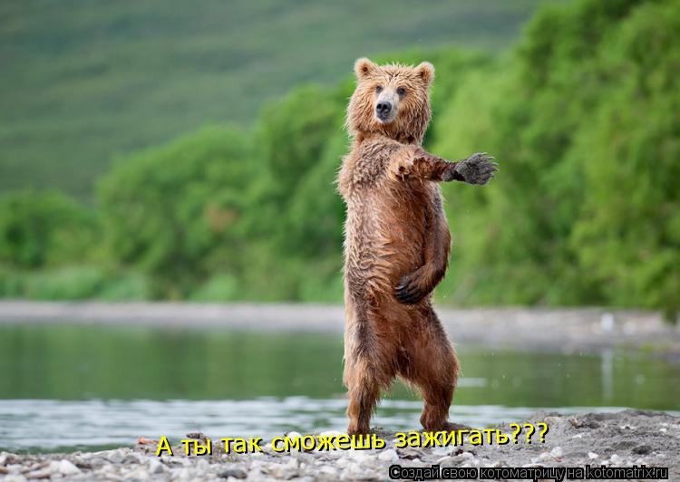 А ты так сможешь зажигать???... Котоматрица: А ты так сможешь зажигать???
