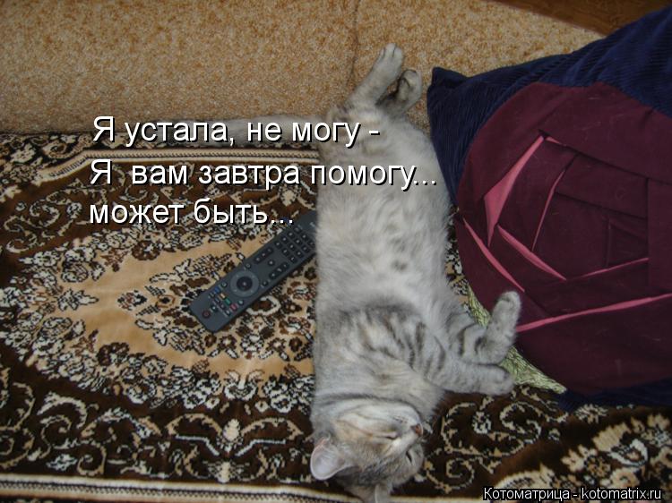 Я устала, не могу - Я вам завтра помогу... может быть...... Котоматрица: Я устала, не могу - Я вам завтра помогу... может быть...