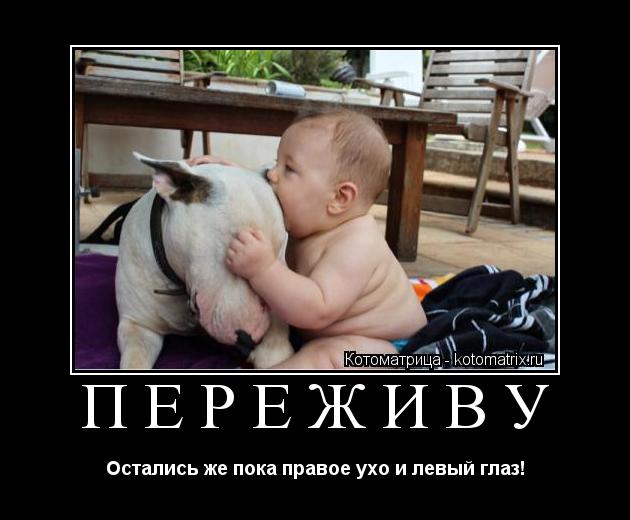 переживу Остались же пока правое ухо и левый глаз!... Котоматрица: переживу Остались же пока правое ухо и левый глаз!