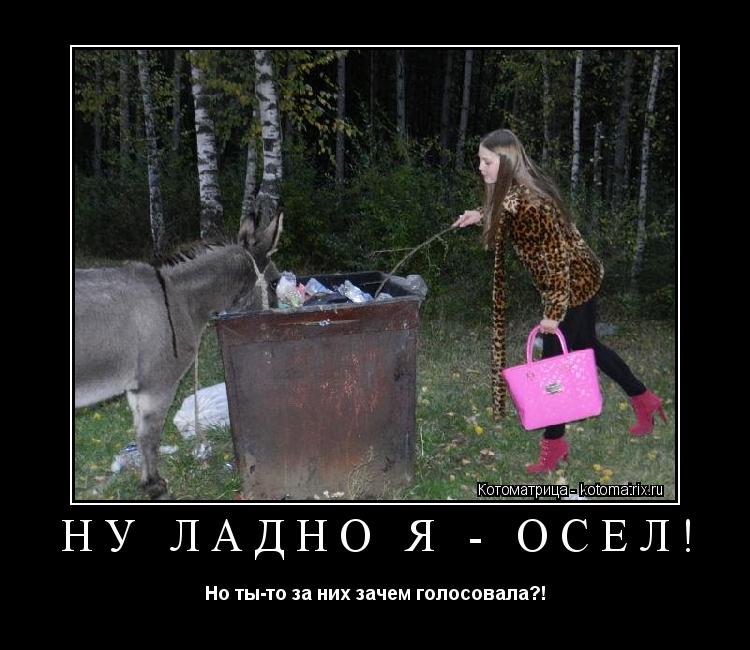 Ну ладно я - осёл! Но ты-то за них зачем голосовала?!... Котоматрица: Ну ладно я - осёл! Но ты-то за них зачем голосовала?!