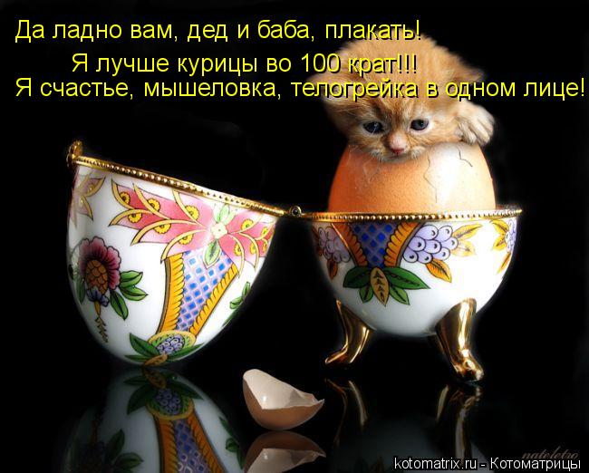 Да ладно вам, дед и баба, плакать! Я лучше курицы во 100 крат!!! Я счастье, мышеловка, телогрейка в о... Котоматрица: Да ладно вам, дед и баба, плакать! Я лучше курицы во 100 крат!!! Я счастье, мышеловка, телогрейка в одном лице!!