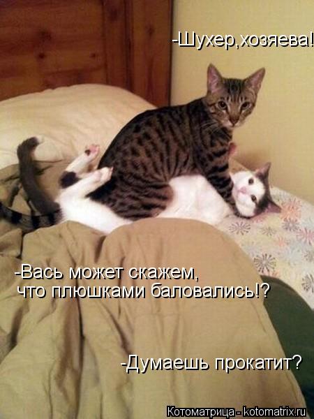 -Шухер,хозяева! -Вась может скажем, что плюшками баловались!? -Думаешь прокатит?... Котоматрица: -Шухер,хозяева! -Вась может скажем, что плюшками баловались!? -Думаешь прокатит?