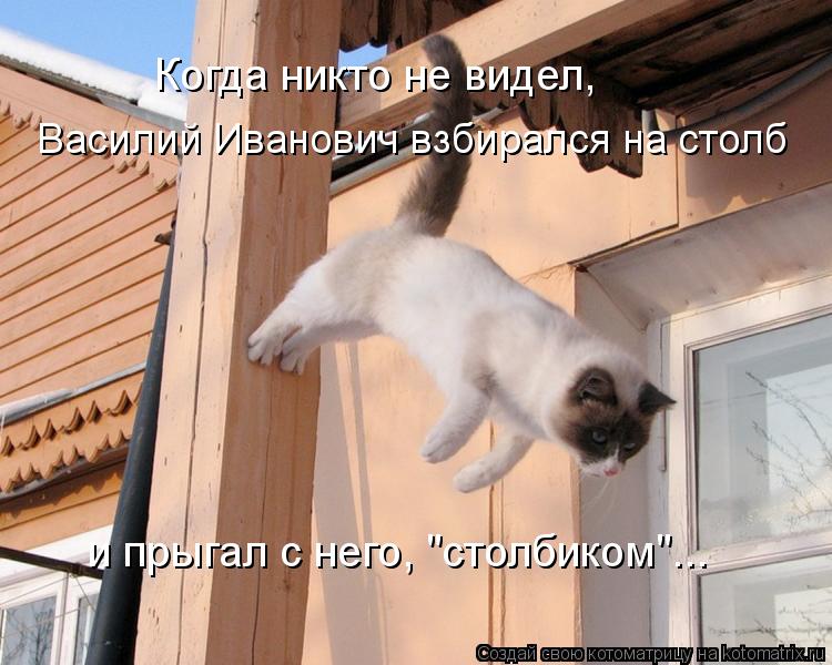 Когда никто не видел, Василий Иванович взбирался на столб и прыгал с него, "столбиком"...... Котоматрица: Когда никто не видел, Василий Иванович взбирался на столб и прыгал с него, "столбиком"...