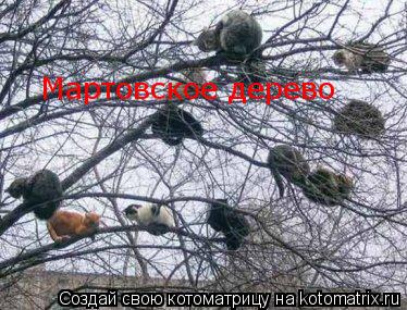 Мартовское дерево... Котоматрица: Мартовское дерево
