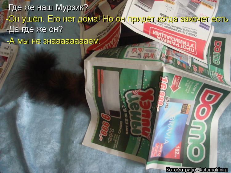-Где же наш Мурзик? -Он ушёл. Его нет дома! Но он придёт когда захочет есть -Да где же он? -А мы не з... Котоматрица: -Где же наш Мурзик? -Он ушёл. Его нет дома! Но он придёт когда захочет есть -Да где же он? -А мы не знааааааааем.