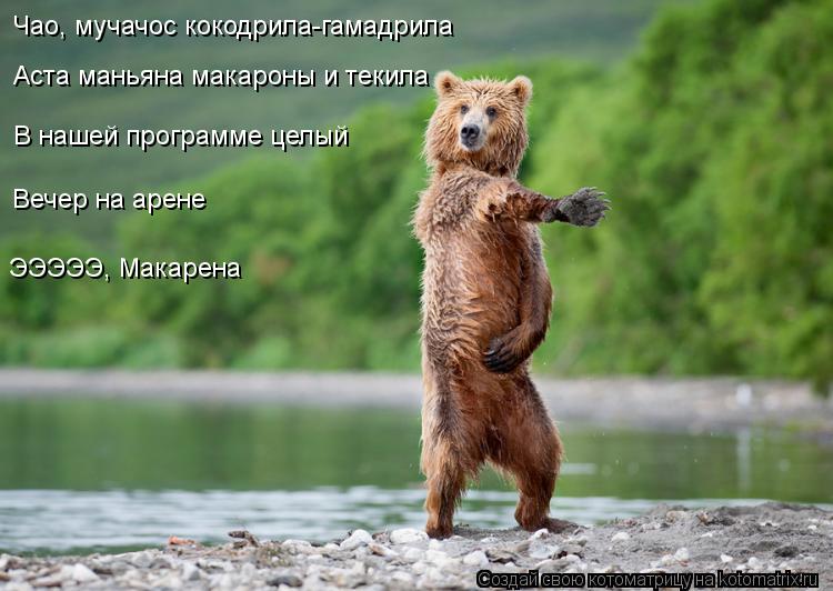 Чао, мучачос кокодрила-гамадрила Аста маньяна макароны и текила В нашей программе целый Вечер на аре... Котоматрица: Чао, мучачос кокодрила-гамадрила Аста маньяна макароны и текила В нашей программе целый Вечер на арене ЭЭЭЭЭ, Макарена