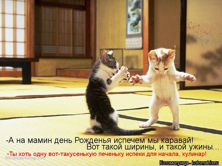 -А на мамин день Рожденья испечем мы каравай! Вот такой ширины, и такой ужины... -Ты хоть одну вот-та... Котоматрица: -А на мамин день Рожденья испечем мы каравай! Вот такой ширины, и такой ужины... -Ты хоть одну вот-такусенькую печеньку испеки для начала, кули