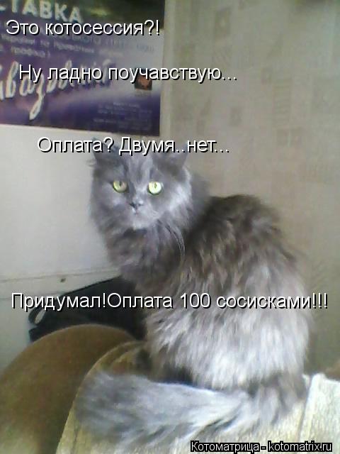Это котосессия?! Ну ладно поучавствую... Оплата? Двумя..нет... Придумал!Оплата 100 сосисками!!!... Котоматрица: Это котосессия?! Ну ладно поучавствую... Оплата? Двумя..нет... Придумал!Оплата 100 сосисками!!!