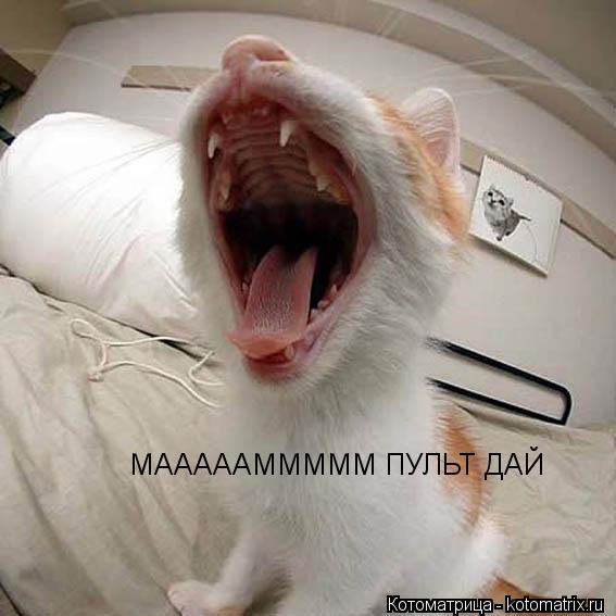 МАААААМММММ ПУЛЬТ ДАЙ... Котоматрица: МАААААМММММ ПУЛЬТ ДАЙ