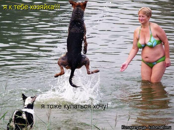 Котоматрица: я к тебе хозяйка!!! я тоже купаться хочу!