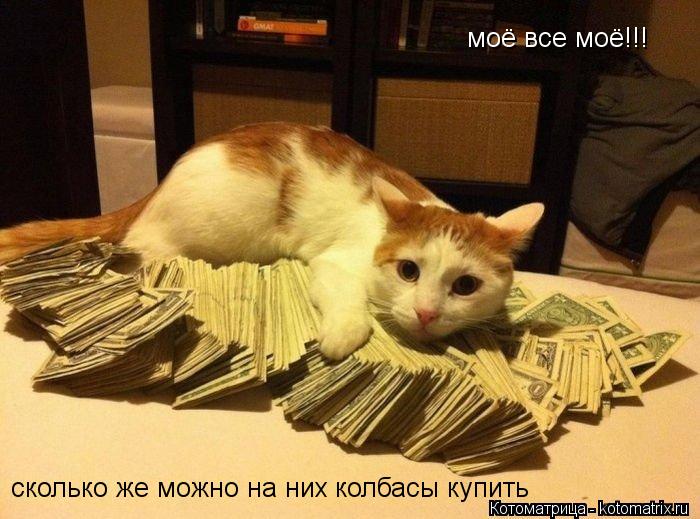 Котоматрица: моё все моё!!! сколько же можно на них колбасы купить