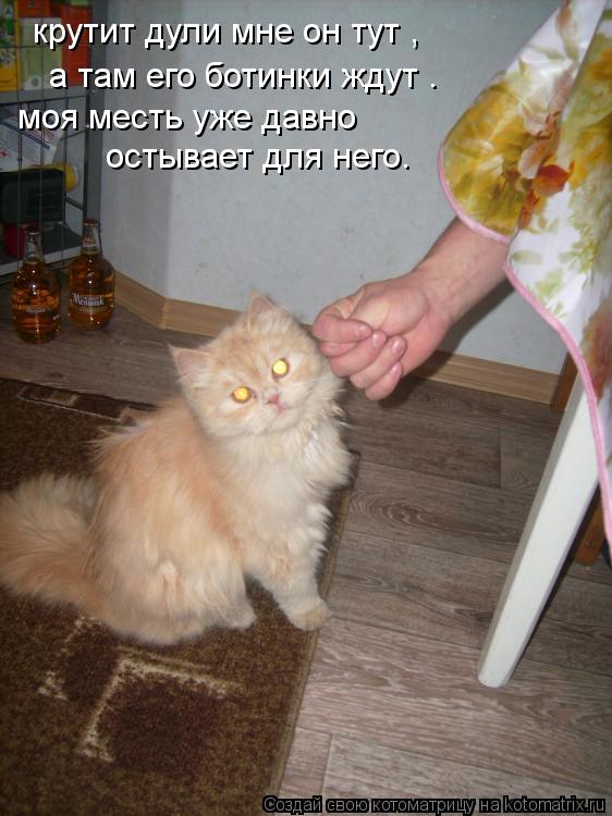 Котоматрица: а там его ботинки ждут . крутит дули мне он тут ,  моя месть уже давно   остывает для него.