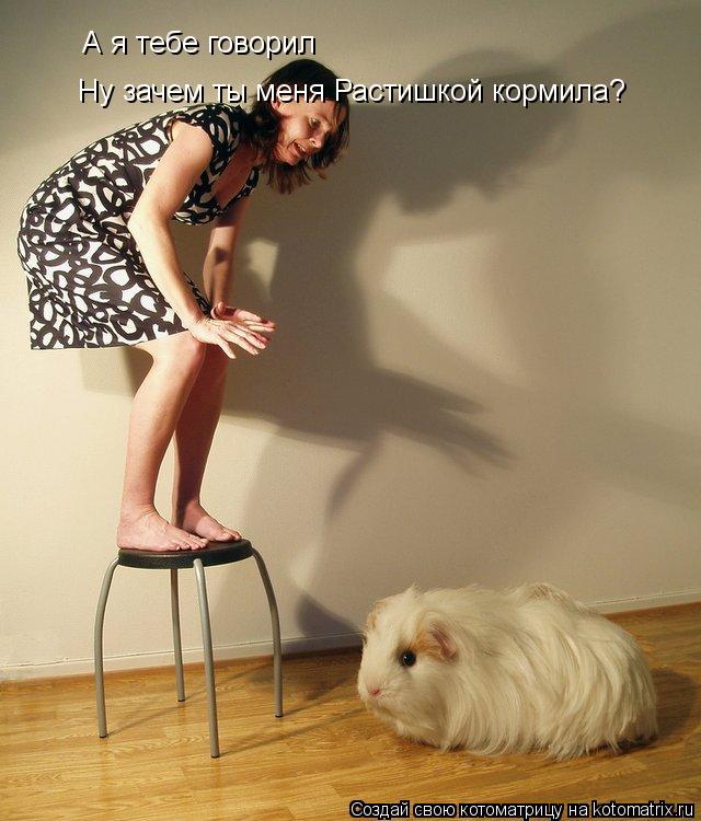 Ну зачем ты меня Растишкой кормила? А я тебе говорил... Котоматрица: Ну зачем ты меня Растишкой кормила? А я тебе говорил