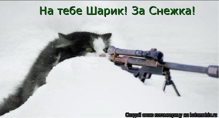 На тебе Шарик! За Снежка!... Котоматрица: На тебе Шарик! За Снежка!