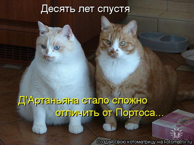 Д'Артаньяна стало сложно отличить от Портоса... Десять лет спустя... Котоматрица: Д'Артаньяна стало сложно отличить от Портоса... Десять лет спустя