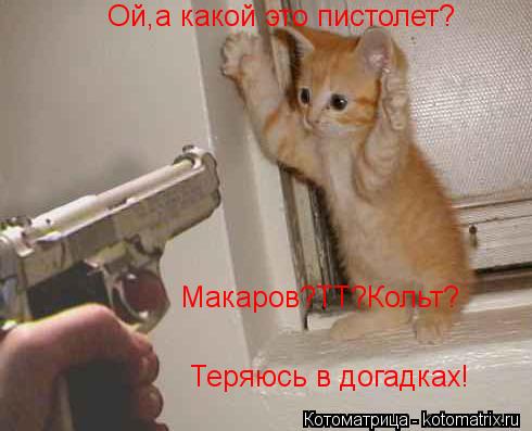 Ой,а какой это пистолет? Макаров?ТТ?Кольт? Теряюсь в догадках!... Котоматрица: Ой,а какой это пистолет? Макаров?ТТ?Кольт? Теряюсь в догадках!