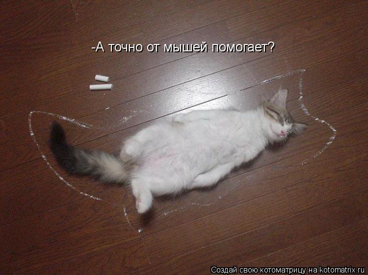 -А точно от мышей помогает?... Котоматрица: -А точно от мышей помогает?