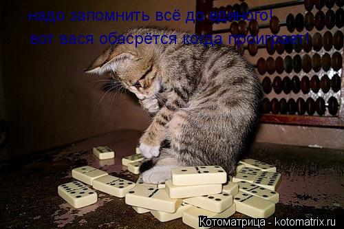 надо запомнить всё до единого! вот вася обасрётся когда проиграет!... Котоматрица: надо запомнить всё до единого! вот вася обасрётся когда проиграет!