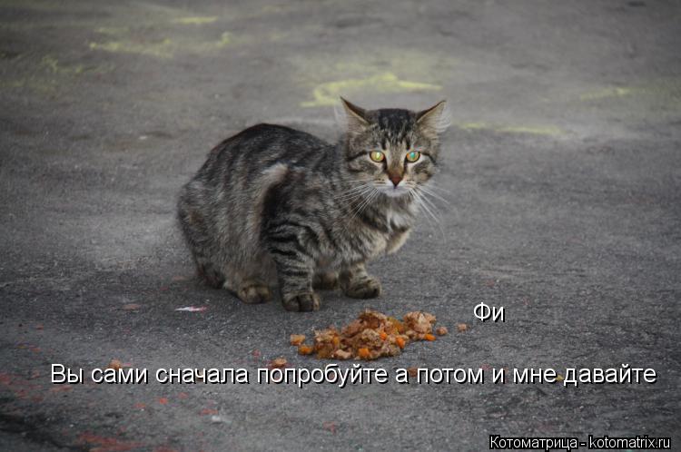 Фи Вы сами сначала попробуйте а потом и мне давайте... Котоматрица: Фи Вы сами сначала попробуйте а потом и мне давайте