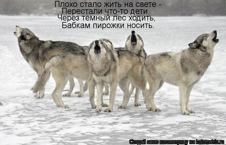 Плохо стало жить на свете - Перестали что-то дети Через темный лес ходить, Бабкам пирожки носить.... Котоматрица: Плохо стало жить на свете - Перестали что-то дети Через темный лес ходить, Бабкам пирожки носить.