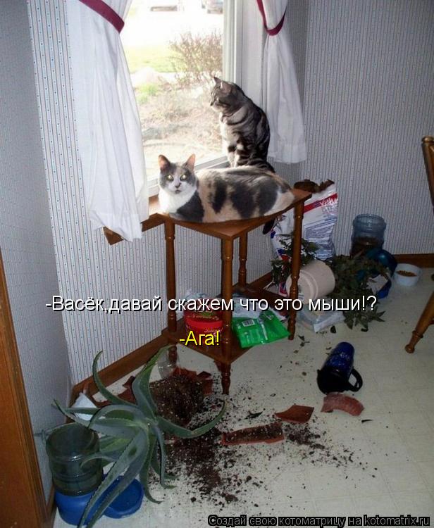 -Васёк,давай скажем что это мыши!? -Ага!... Котоматрица: -Васёк,давай скажем что это мыши!? -Ага!