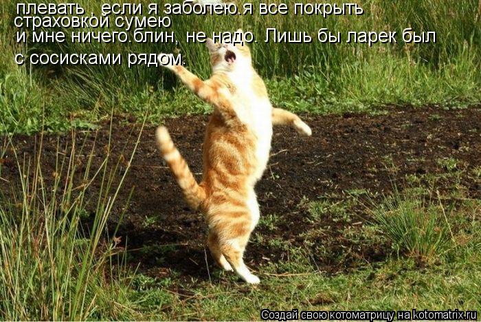 и мне ничего.блин, не надо. Лишь бы ларек был с сосисками рядом. плевать , если я заболею.я все покры... Котоматрица: и мне ничего.блин, не надо. Лишь бы ларек был с сосисками рядом. плевать , если я заболею.я все покрыть страховкой сумею