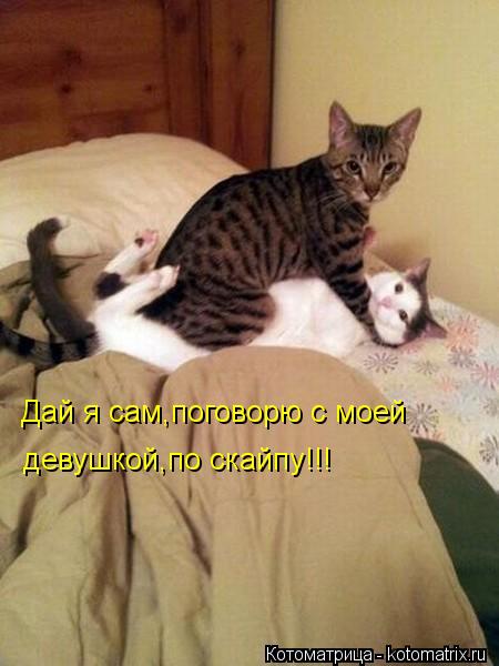 Дай я сам,поговорю с моей девушкой,по скайпу!!!... Котоматрица: Дай я сам,поговорю с моей девушкой,по скайпу!!!